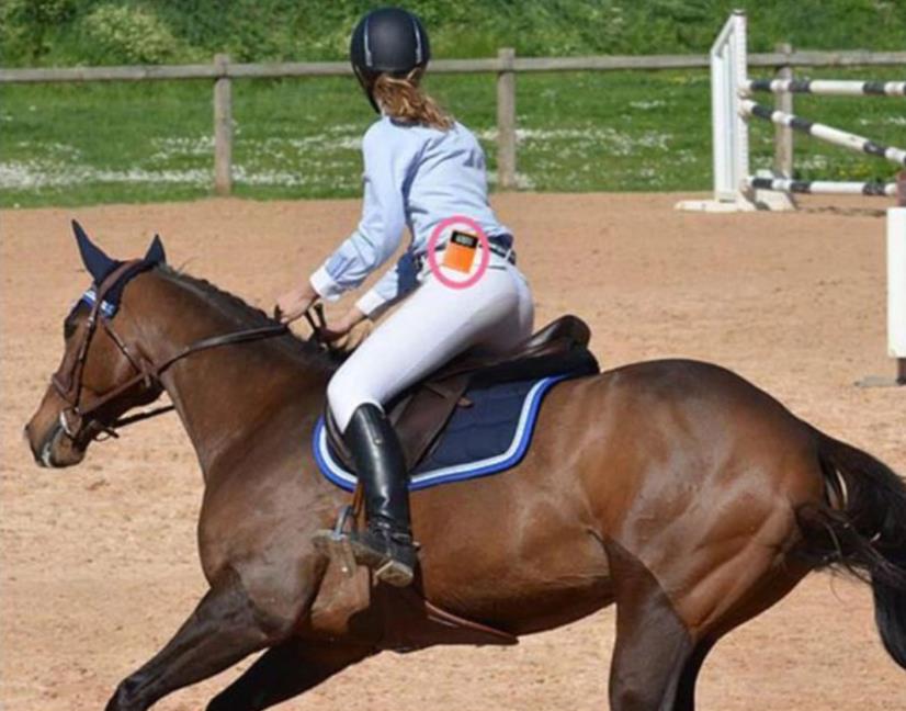Horse riding training Case(图4)