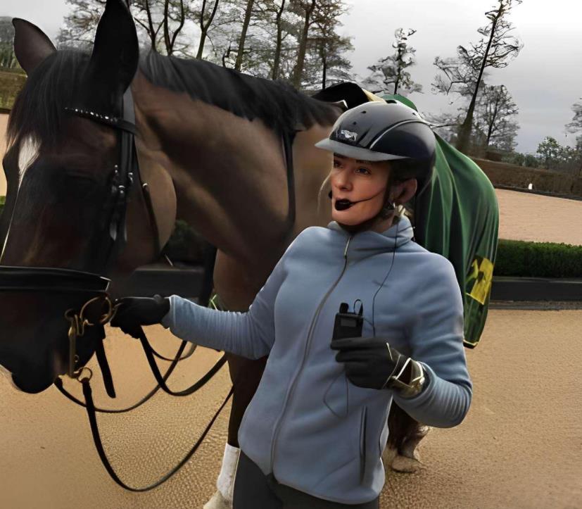 Horse riding training Case(图2)