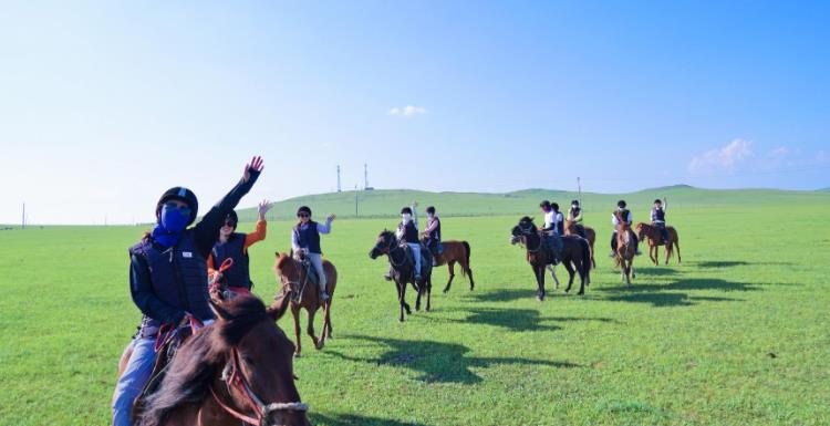 Horse riding training Case(图1)