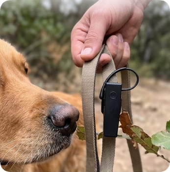 Smart Trails for Pet-Friendly Travel: Why Park Managers are Deploying a Wireless Tour Guide System for Dog-Friendly Interpretive Paths(图4)