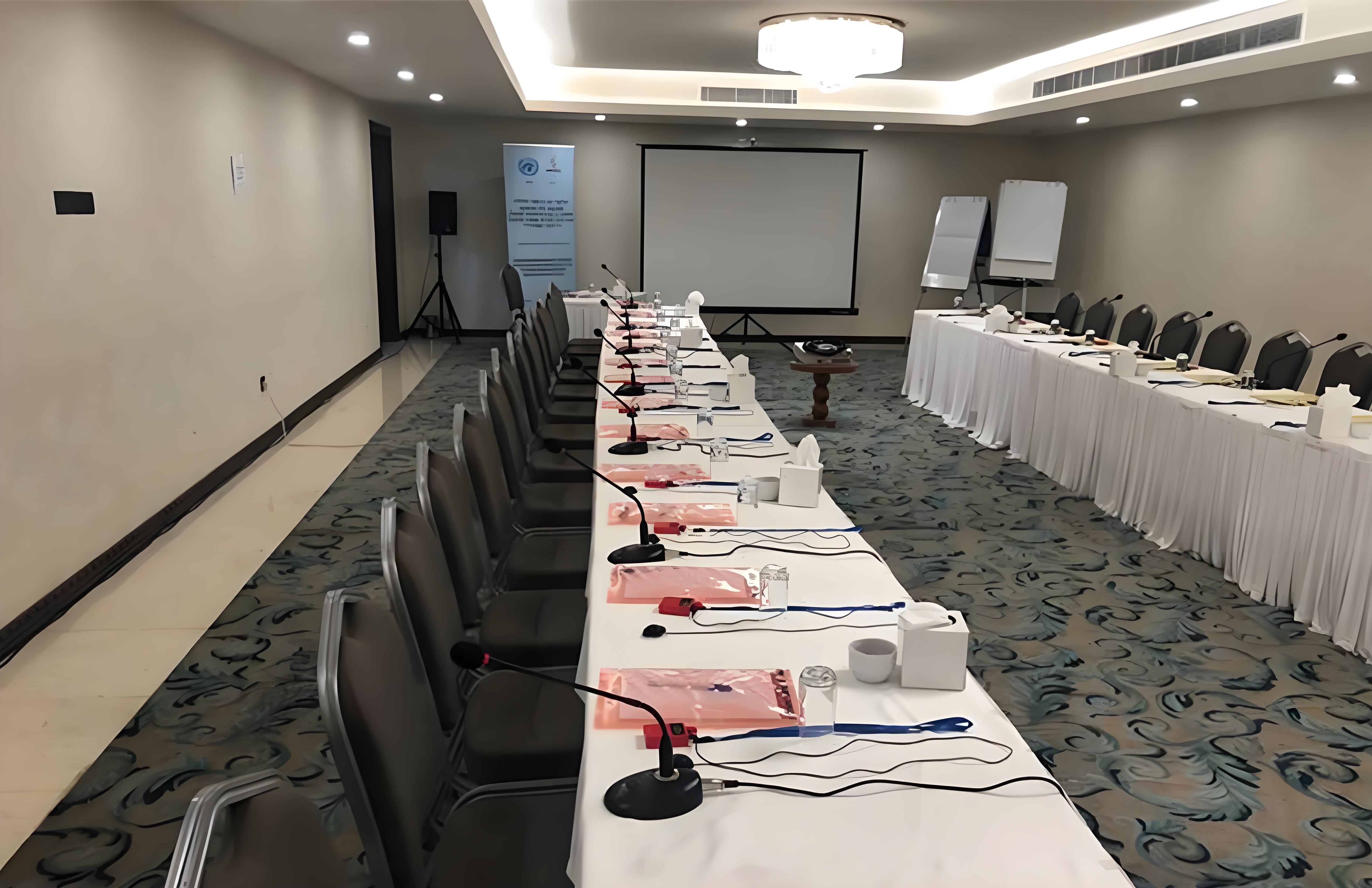 Case Study: Rich Age Wireless Simultaneous Interpretation System for International Economic Summit(图7)