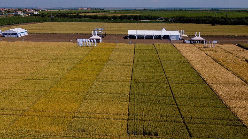 Agricultural Field Day Tour: Real Customer Case with Richitek Wireless Guide System(图2) Agricultural Field Day Tour: Real Customer Case with Richitek Wireless Guide System(图2)